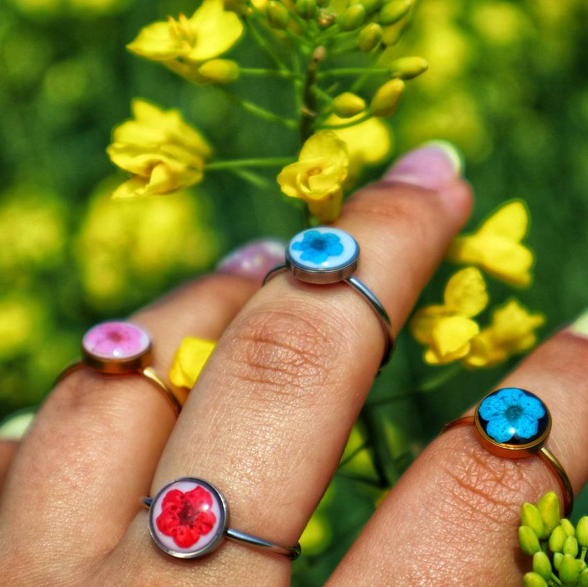 Anello basic big in acciaio inossidabile con fiorellini del Pizzo della Regina Anna sfondo bianco
